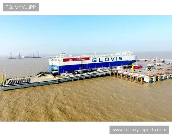 盐城大丰港战队奋勇拼搏铸就辉煌实力 展现中国足球新风采