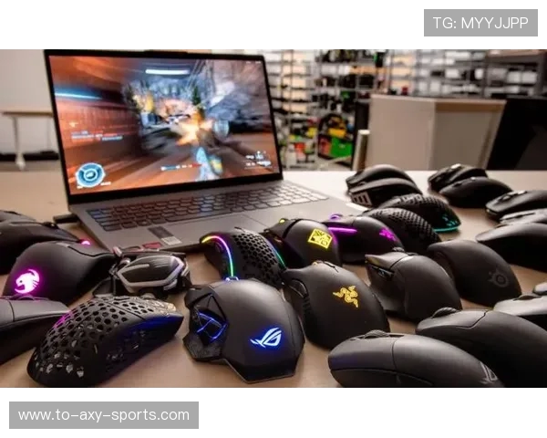 CSGO巨献：深入分析EDG战队的耐力与战术策略