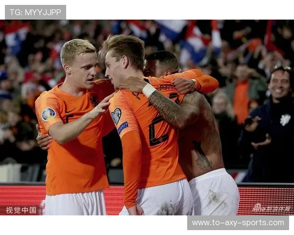 006荷兰对阵北爱尔兰精彩回顾与赛后分析 006荷兰对阵北爱尔兰精彩回顾与赛后分析